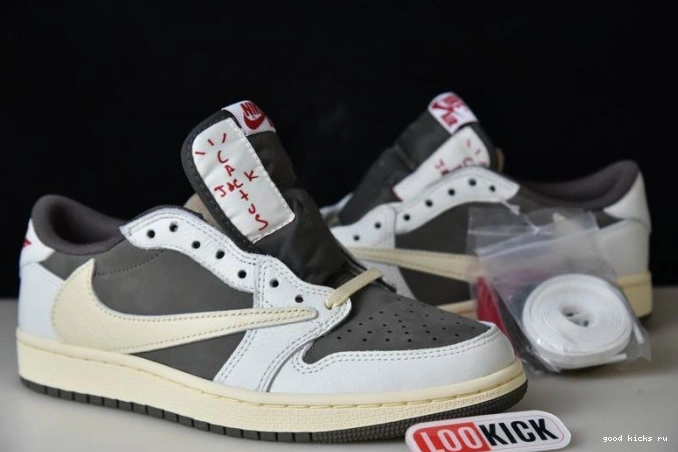 1 Air x Mocha Travis Reverse Scott Jordan DM7866-162 0811
